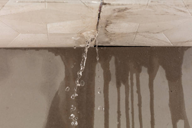 Professional Burst Pipe Cleanup technician working in Wanamingo, MN